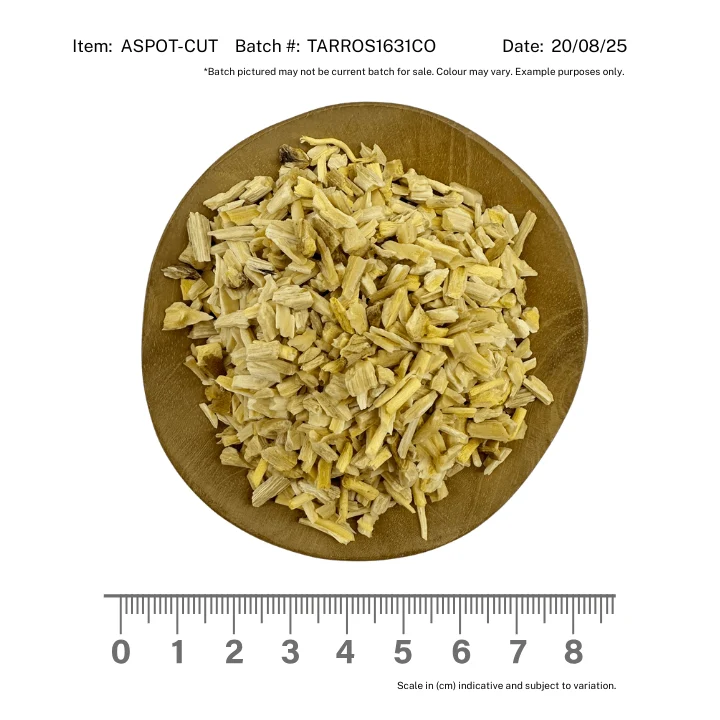 Asparagus/Shativari Root Cut - Image 2