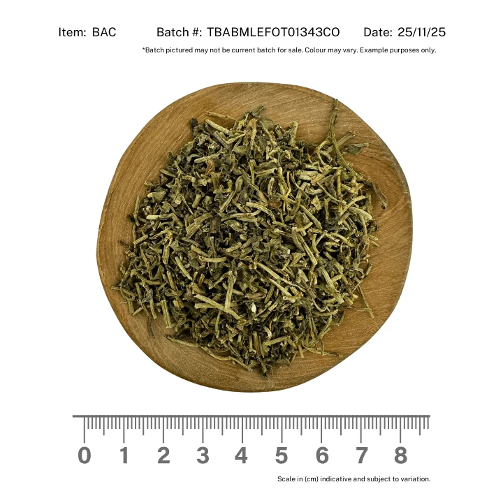 Bacopa / Brahmi Herb - Image 2