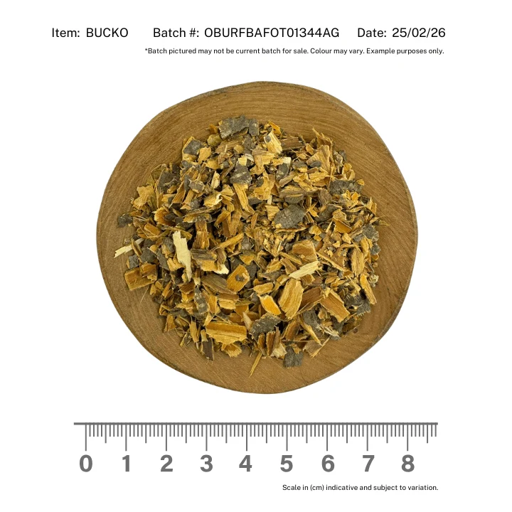 Buckthorn Bark Organic - Image 2