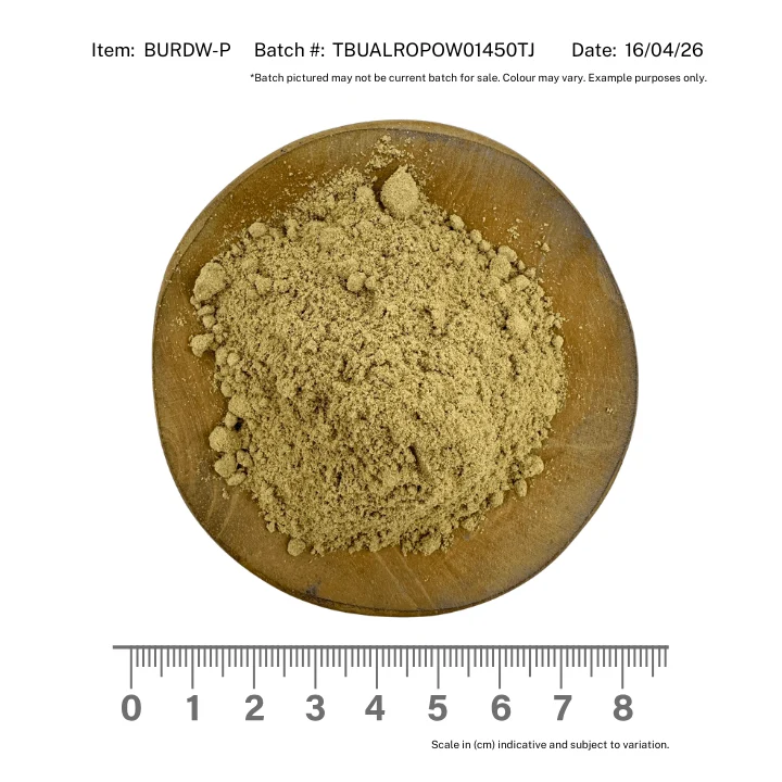 Burdock Root Powder - Image 2