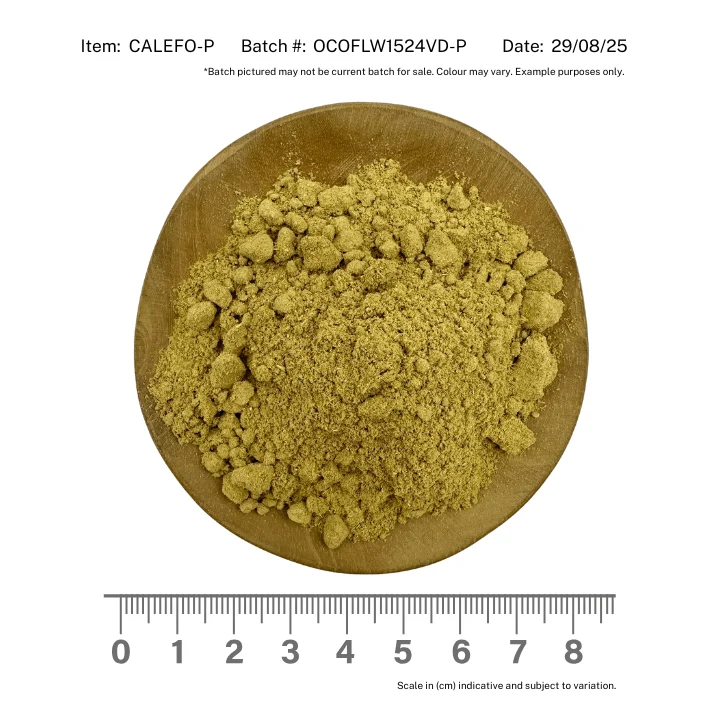 Calendula Flower Powder Organic - Image 2