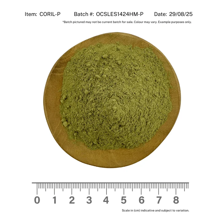 Coriander / Cilantro Leaf Powder Organic - Image 2