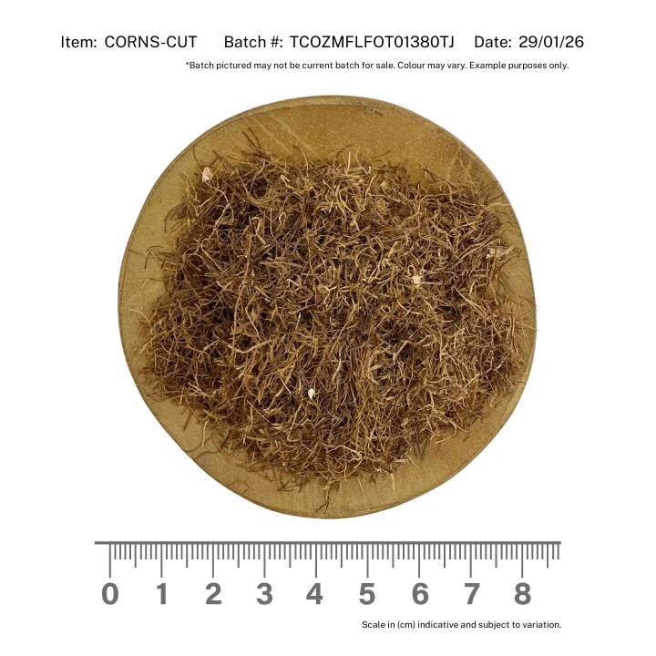 Cornsilk CUT - Image 2