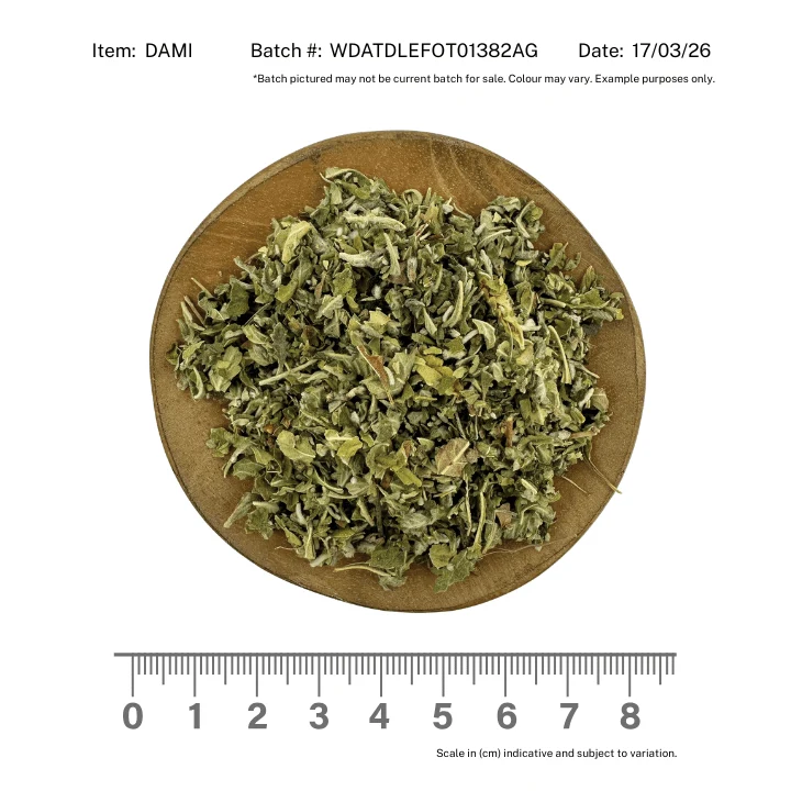 Wildcrafted Damiana - Image 2