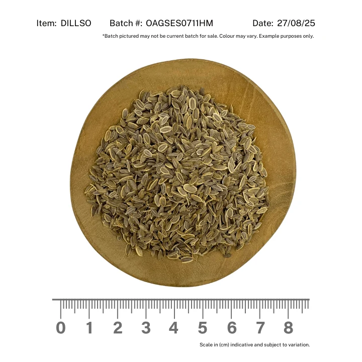 Dill Seed Organic - Image 2