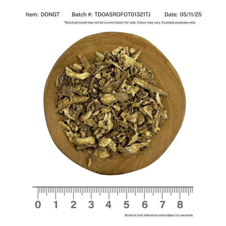 Dong Quai Root - Image 2