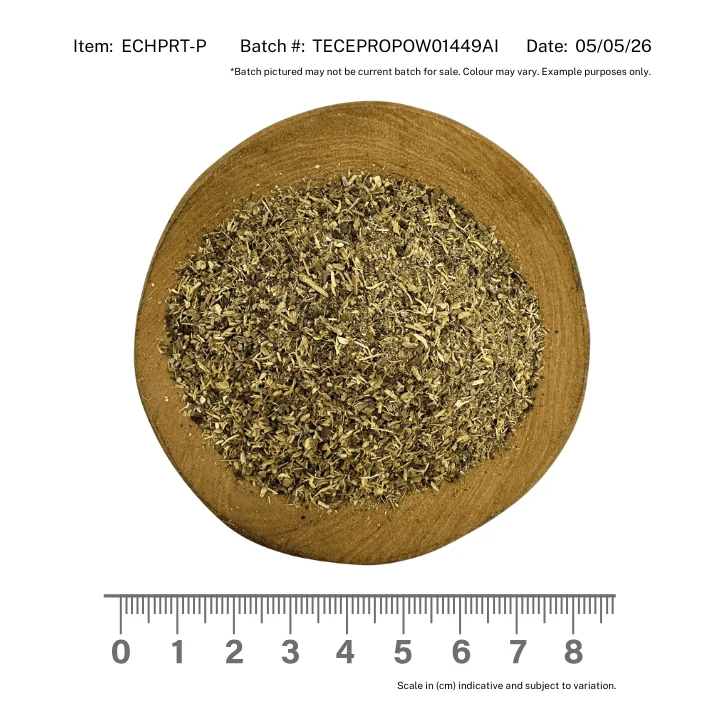 Echinacea Purpurea Root Powder - Image 4