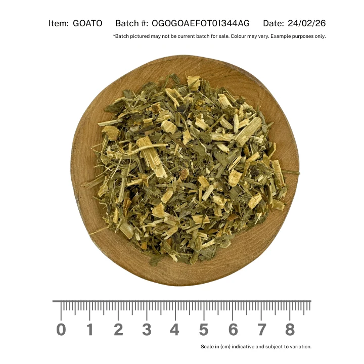 Goats Rue Herb Organic - Image 2