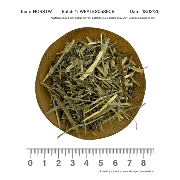 Horsetail Herb - Image 2