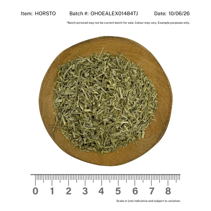 Horsetail Herb Organic - Image 2