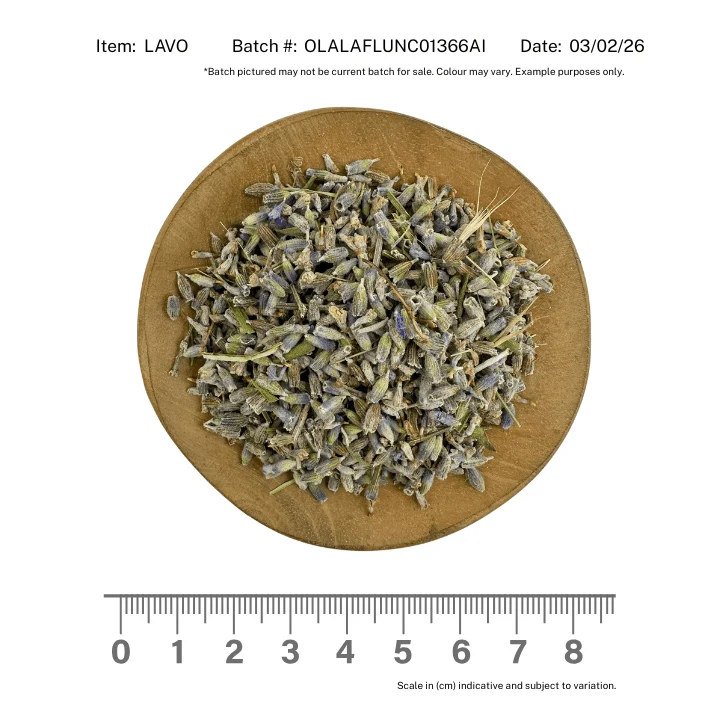 Lavender Flower Organic - Image 4