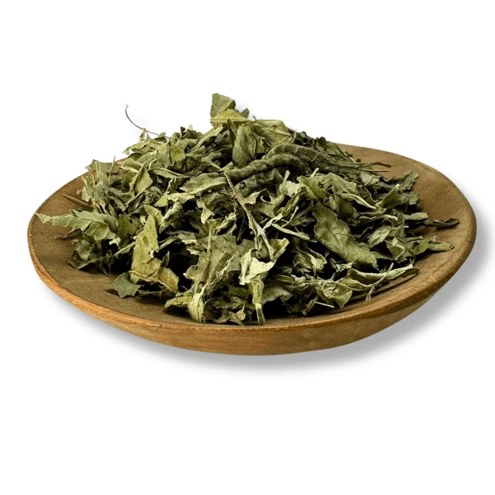 Lemon Verbena Egyptian Organic