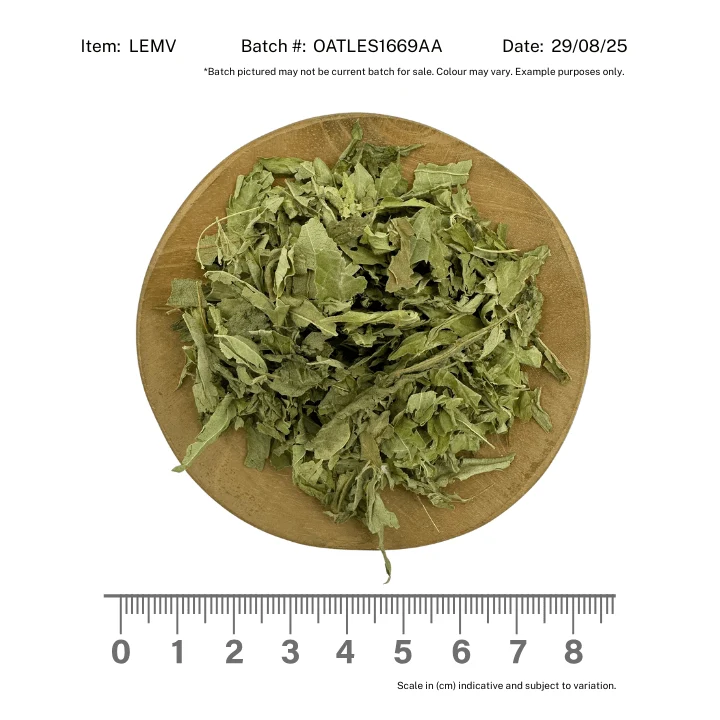 Lemon Verbena Egyptian Organic - Image 2