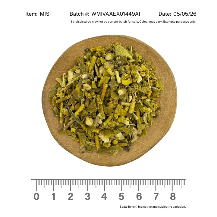Mistletoe - Image 2
