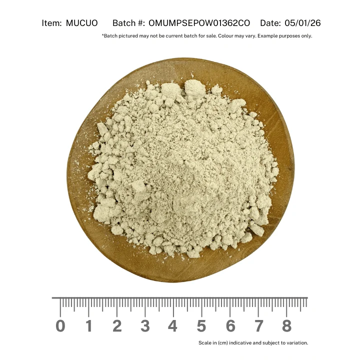 Mucuna Seed Powder Organic - Image 2