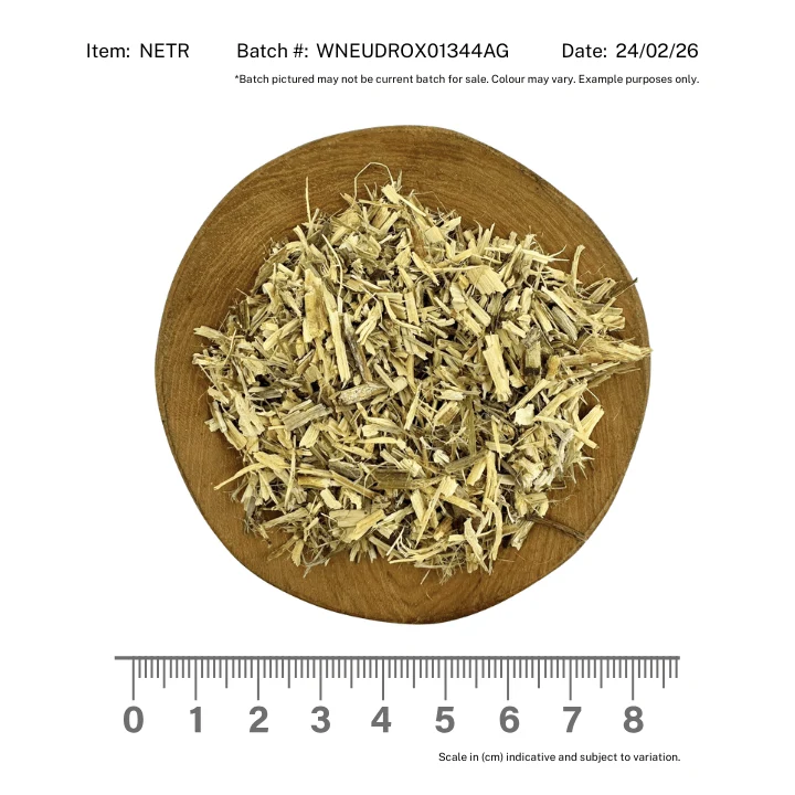 Nettle Root - Image 2