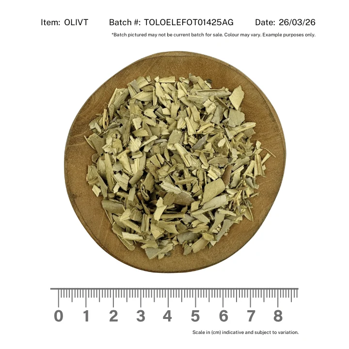 Olive Leaf - Image 2
