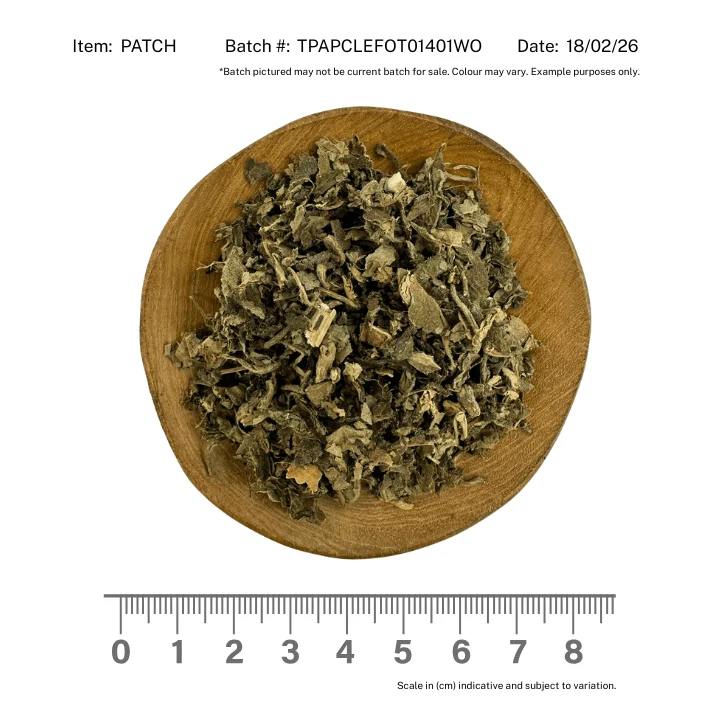 Patchouli Leaf - Image 2