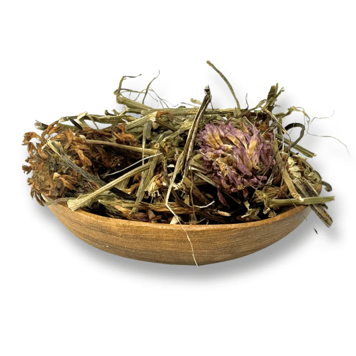 Red Clover Herb /Tops with Flower Organic