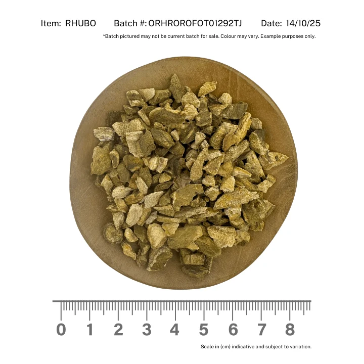 Rhubarb Root Official Organic - Image 2