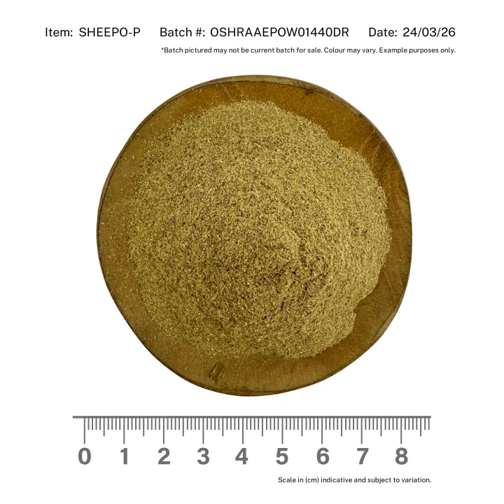 Sheep Sorrel Powder Organic - Image 2