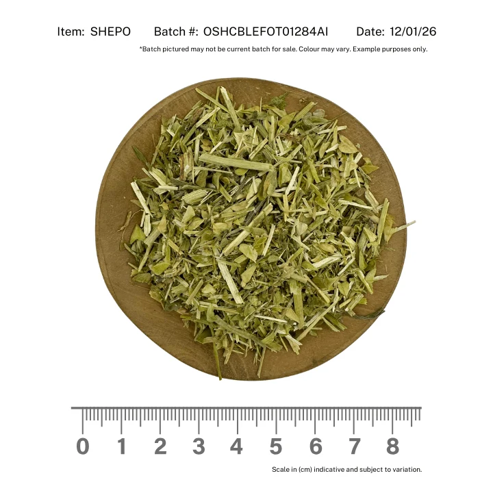 Shepherds Purse Organic - Image 2