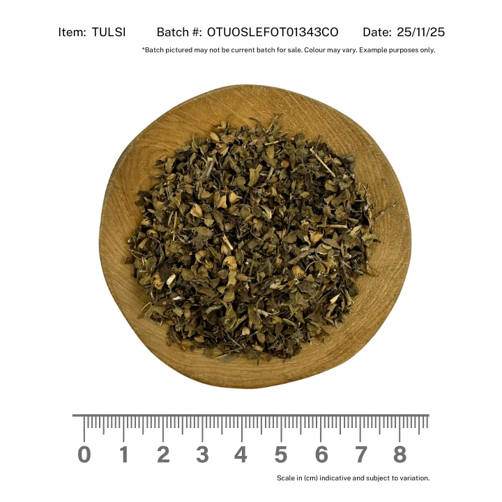 Tulsi *Rama* Herb Dried Organic - Image 2