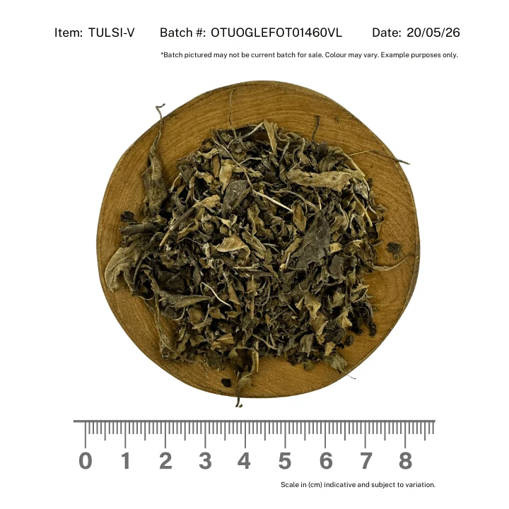 Tulsi *Vana* Herb Dried Organic - Image 2