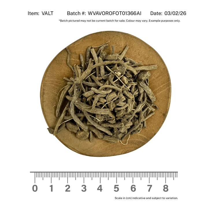 Valerian Root - Image 2