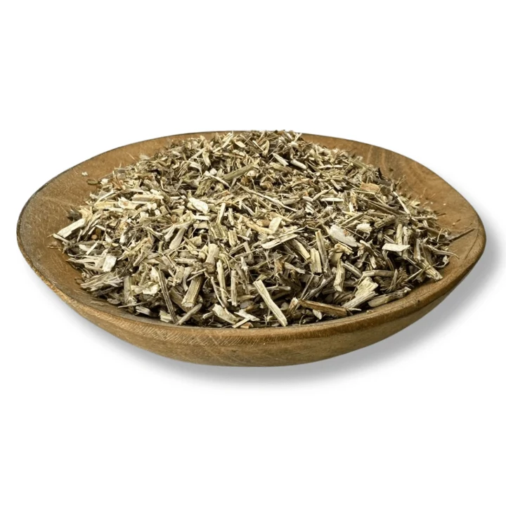 Vervain