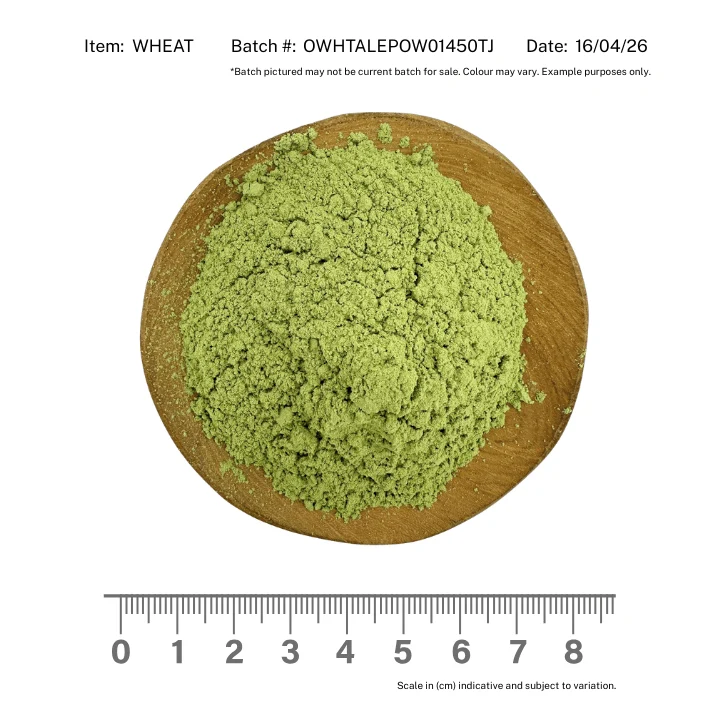 Wheat Grass Organic Powder - Image 2