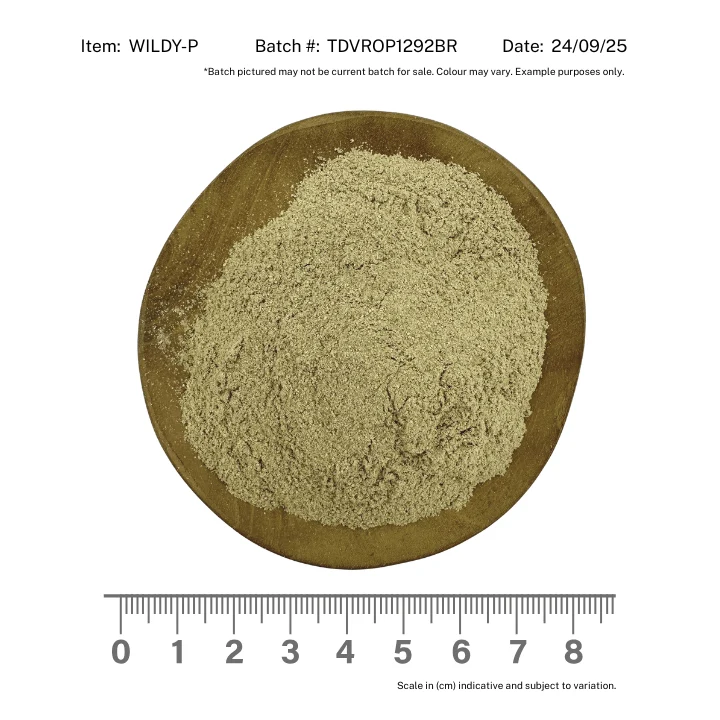 Wild Yam Powder - Image 2