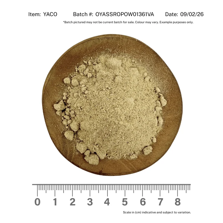 Yacon Powder Organic - Image 2