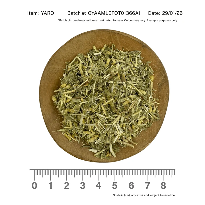 Yarrow Organic - Image 2